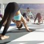 Hatha Yoga’s Role in Gut Health and Digestive&nbsp;Harmony
